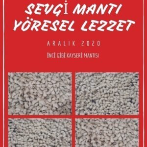1 porsiyon mantı fiyatı