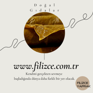 Filizceyaprak 1 300x300