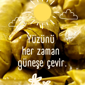 zeytinyağlı yaprak sarması satın al