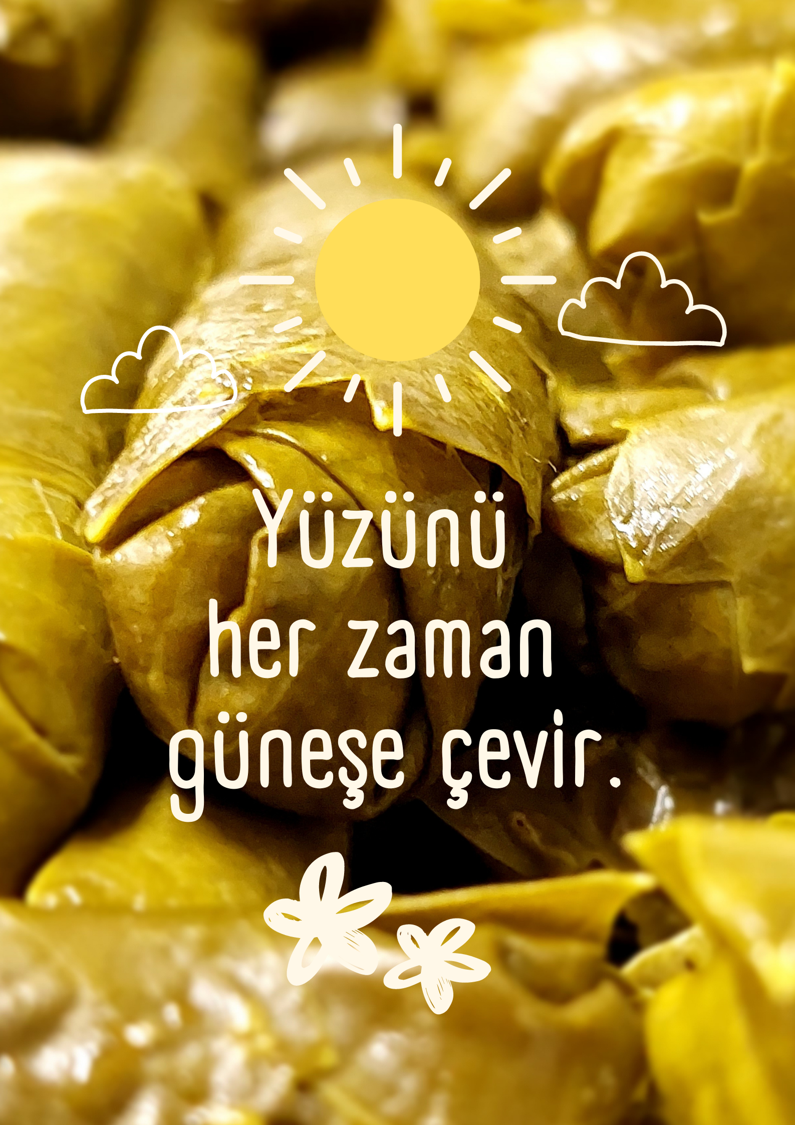 flzcemm.png Zeytinyağlı sarması: Kalori içeriği ve besin değerleri hakkında bilgi