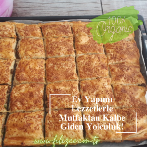kayseri tandir böregi tarifi