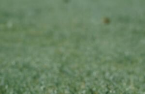 Golf 7 Stage 2 Yazılım Uygulaması ve Güç Artışı