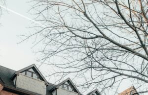 Amerika’da Yüksek Lisans İçin Gerekli Ortalama: 3.0 GPA Neden Önemli?