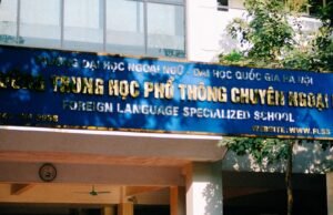 Amerikan Kültür Yurtdışı Dil Yeterlilik Belgesi ve Sertifikaları