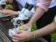 Discovering the World: Student Microscopes for Home Labs at Black Friday Discounts
