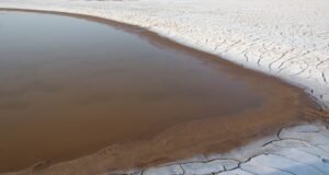 Drought and Decline: Unraveling the Fall of the Indus Valley Civilization