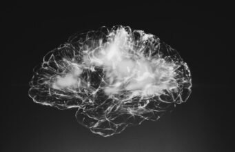 Exploring the Latest Breakthroughs in Neuroscience: Insights from Live Science