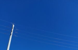 T1 ve T2 Sigorta Nedir?