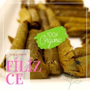 Filizcecomtr 300x300