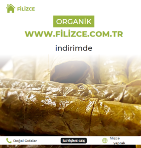 Filizcem 1 286x300