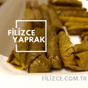 Filizceyaprak 1 300x300